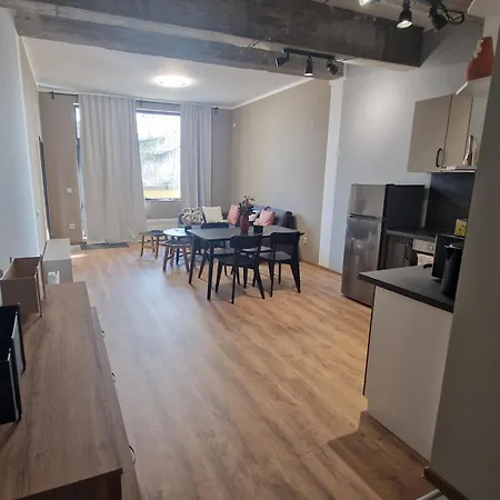 Concrete Comfort Apartment